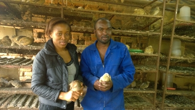 Maureen and Jackson Shabana hold quails in their bird house. 